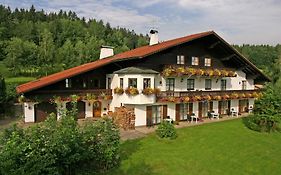 Pension Sonnleit´n - Urlaub Mit Hund
