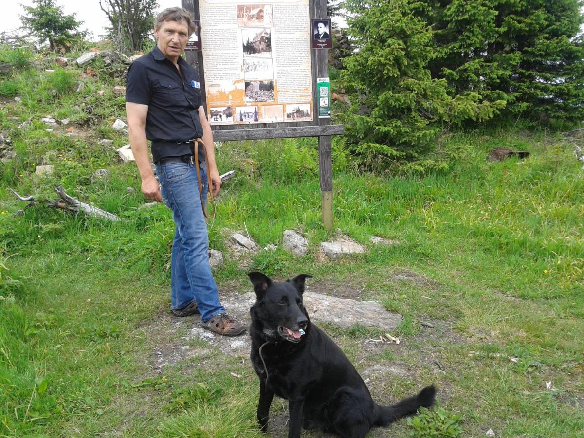 Pension Sonnleit´n - Urlaub mit Hund Zwiesel Exterior foto