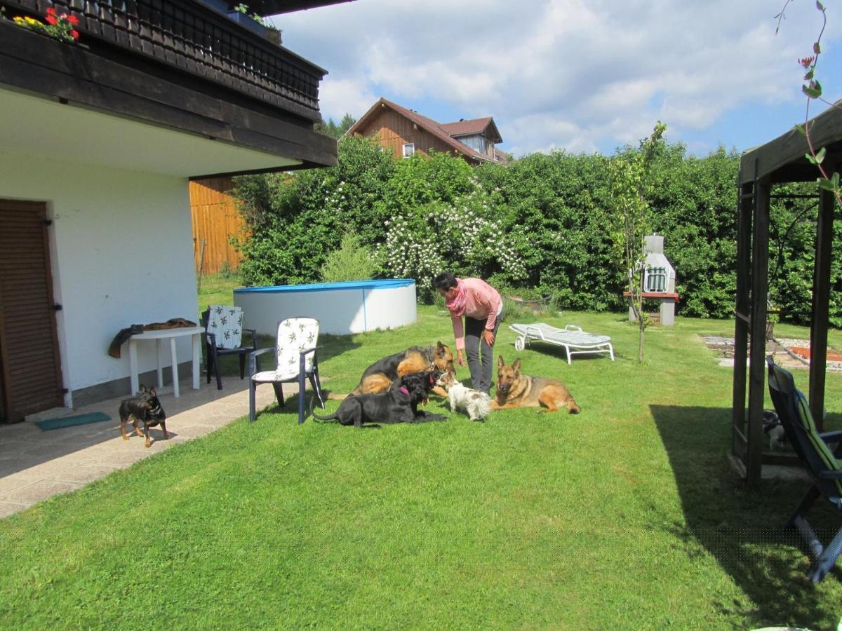 Pension Sonnleit´n - Urlaub mit Hund Zwiesel Exterior foto