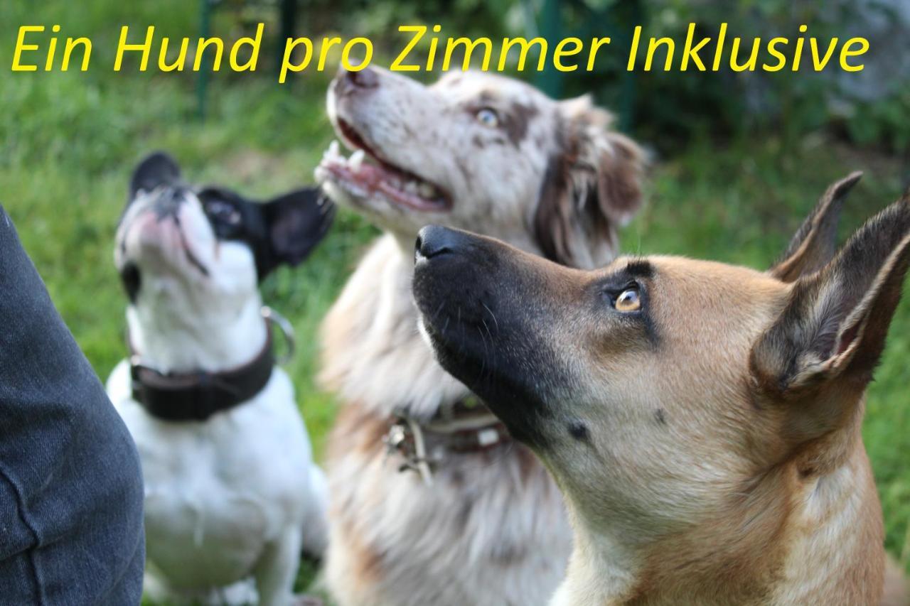 Pension Sonnleit´n - Urlaub mit Hund Zwiesel Exterior foto